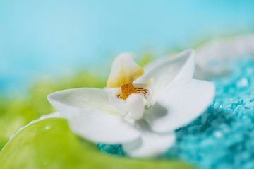Orchidee wit met turkooise edelsteentjes van Ivonne Fuhren- van de Kerkhof