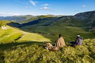 Shepherd by Roland Brack thumbnail