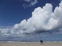 West wind. 