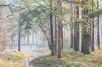 Magische ochtend op landgoed Heidestein!