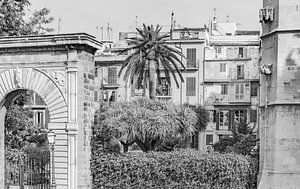 Historisches Stadtzentrum von Palma de Mallorca, Spanien