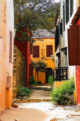 Bilder von Ile de Gorea/Senegal (3)