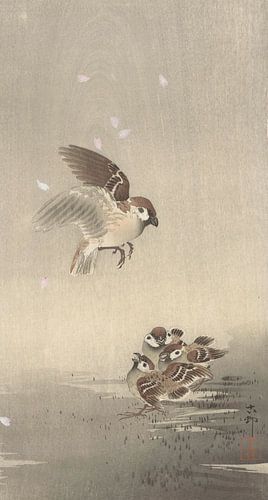 Ringmus avec un garçon de Ohara Koson