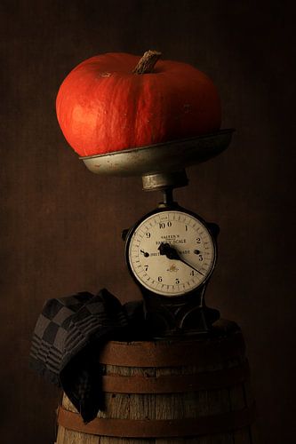 dark brown still life with pumpkin