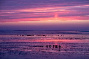 Couleurs intenses sur la mer des Wadden - Mer des Wadden naturelle sur Anja Brouwer Fotografie