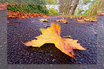 Herbstzauber auf der Straße von Franz Walter