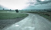 Curvy Road