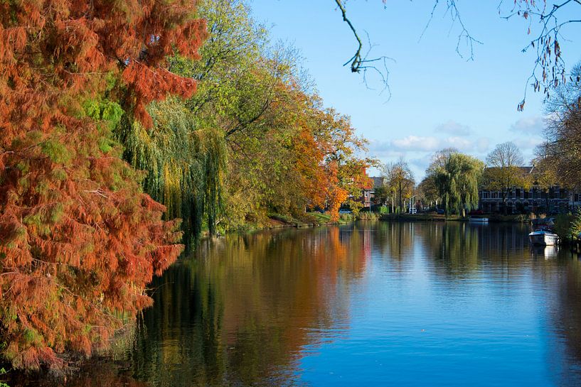 Park of Leiden by Alejandro Vivas