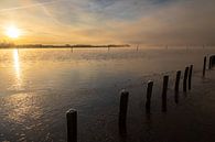 misty sunrise over the water with reflective poles and pastel colors by Kim Willems thumbnail