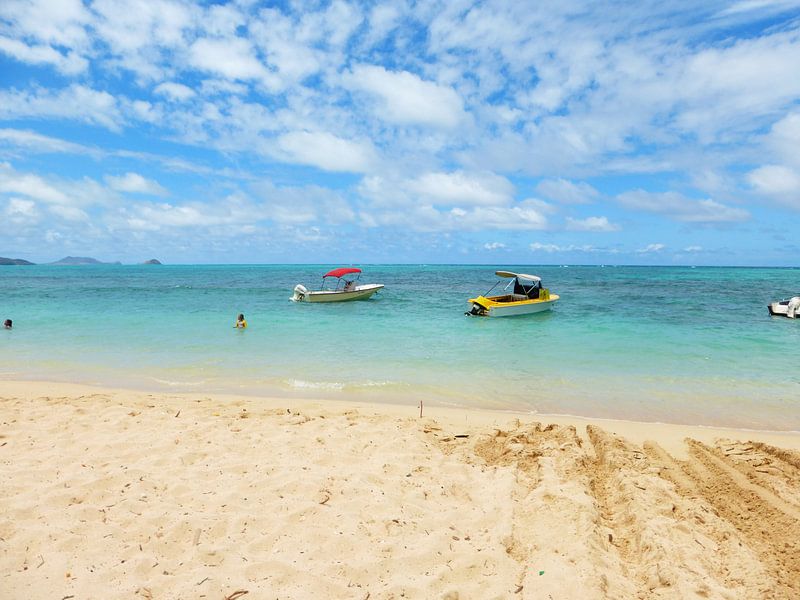 Strandidylle auf Hawaii von Janina Ballali