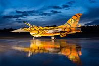 F-16 gevechtsvliegtuig in tijgerkleuren van KC Photography thumbnail