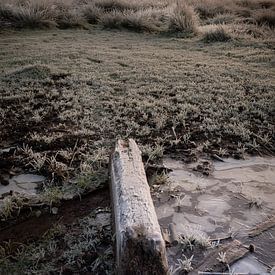 Groningen's White Mill in a frozen world by KB Design & Photography (Karen Brouwer)