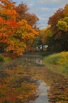 Altweibersommer von Sara in t Veld Fotografie