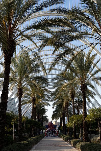 L&#039;umbracle Valencia par Iseline Visser