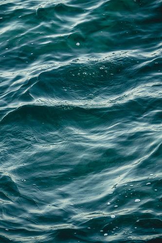 Fluisteringen van de Diepte Oceaangolven in Monochroom