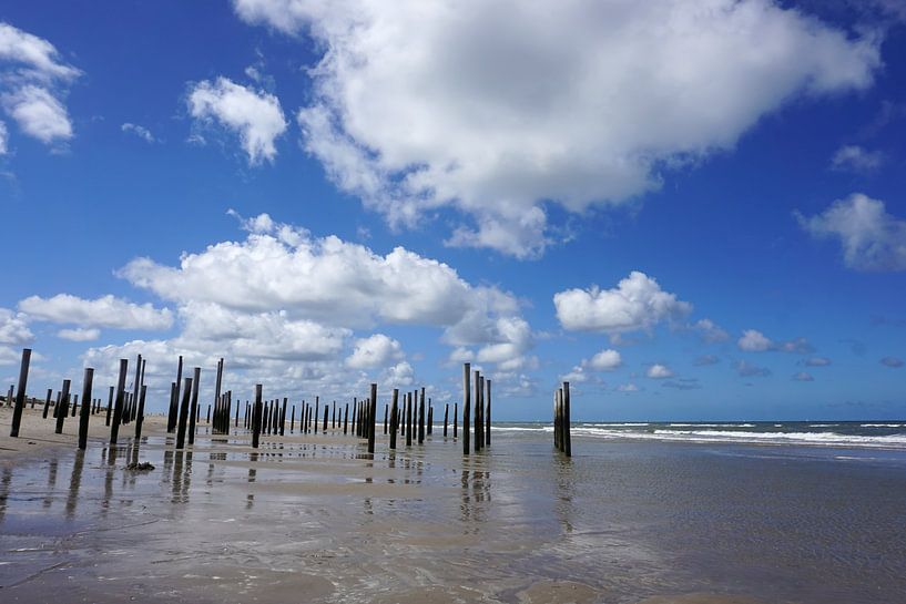 Beach with poles by Folkert Jan Wijnstra