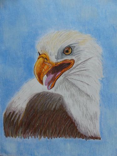 roofvogel oliekrijt