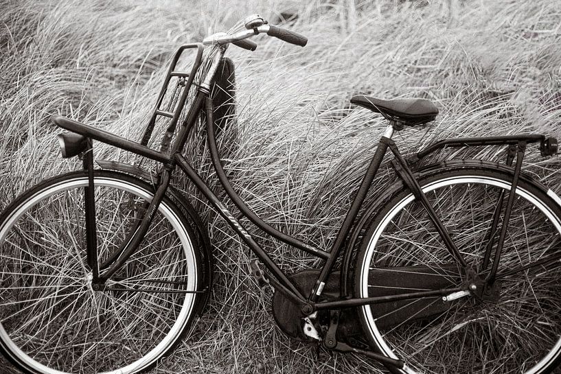 Vélo garé avec bruit, cinématique sépia par Yanuschka | Fotografie Noordwijk