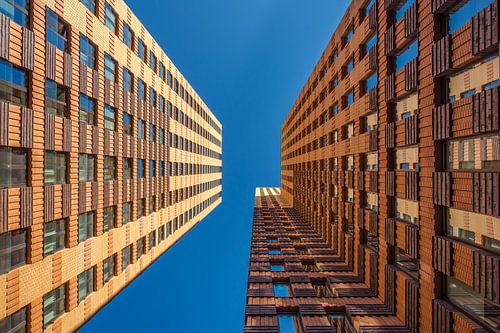 Looking up