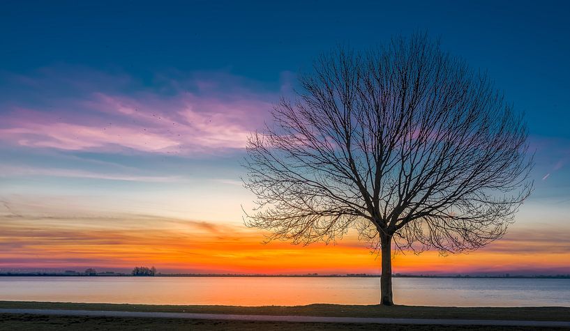 reeuwijk van Remco-Daniël Gielen Photography