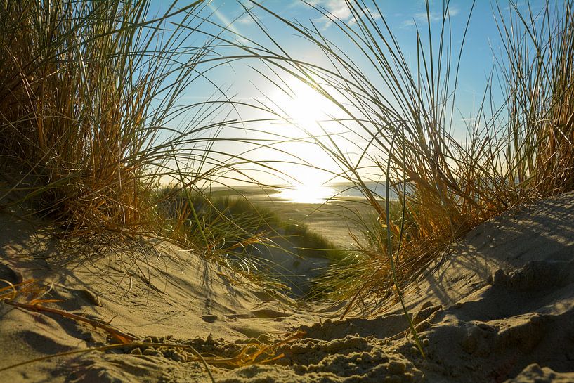 Duinen en zee van Claudia Evans