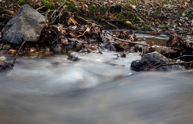 Alles fließt von Thomas Jäger