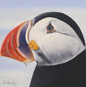 Puffin sur Russell Hinckley