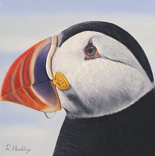Puffin