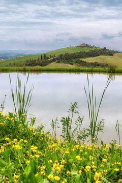 Portrait de la Toscane sur Mark Bolijn