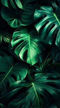 Monstera's Night Song by ByNoukk