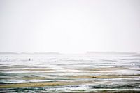 Het mysterieuze wad