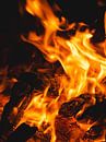 campfire by Tamara S. thumbnail