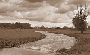 Fischauktion auf der Insel Maurik in Sepia