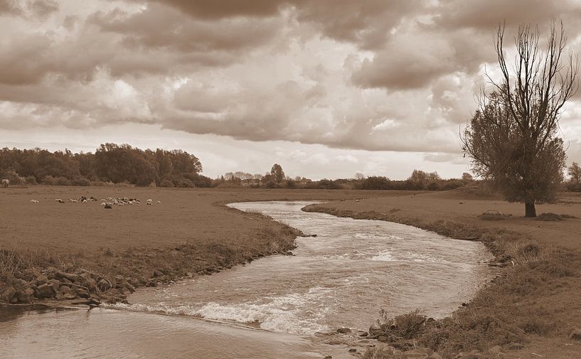 Visafslag eiland van Maurik in sepia van Jose Lok