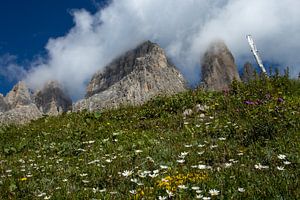 tre cime di lavaredo