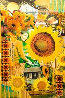 Zonnebloem