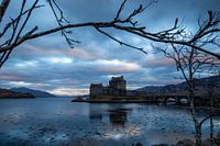 Eilean Donan Castle in Blau und Rosa