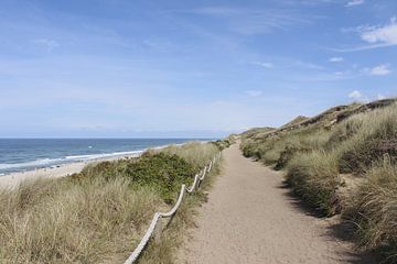 Dünenweg bei Wennigstedt auf Sylt