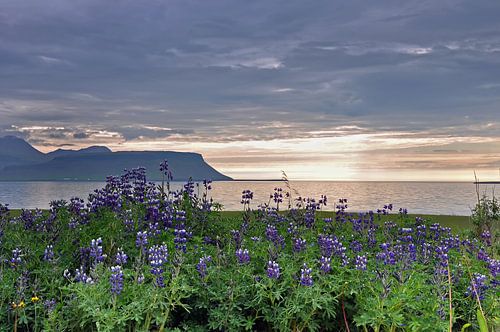 IJsland, Middernachtzon, Pórshofn 