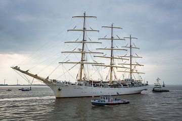 Dar Mlodziezy and Gruno IV DelfSail 2024 by Jan Georg Meijer