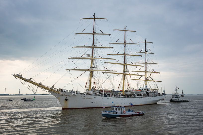 Dar Mlodziezy und Gruno IV DelfSail 2024 von Jan Georg Meijer