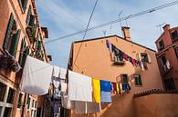 Historische Gebäude mit Wäscheleinen in der Altstadt von Venedig von Rico Ködder Miniaturansicht
