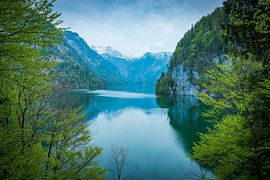 Frühling am Königssee von Martin Wasilewski