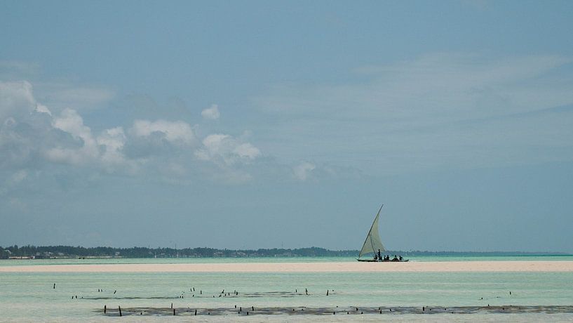 Zanzibar Bleu van Willeke van Vulpen