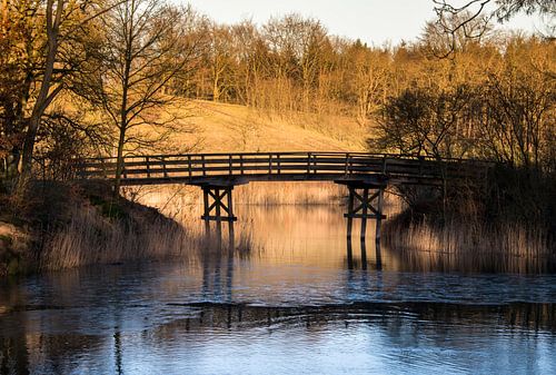 wooden bridge over the water