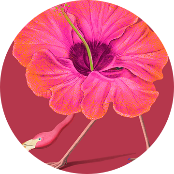 Flamingo Go! van Gisela- Art for You