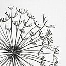 Paardenbloem van Color Square thumbnail