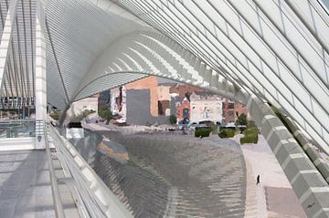 ode aan Santiago Calatrava van Marco Titucci