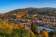 Heidelberg am Neckar von Uwe Ulrich Grün Miniaturansicht