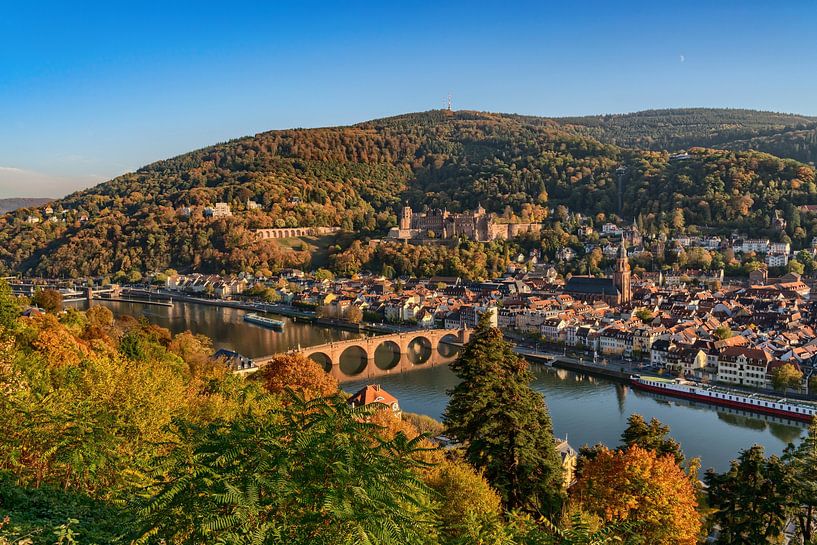 Heidelberg am Neckar von Uwe Ulrich Grün